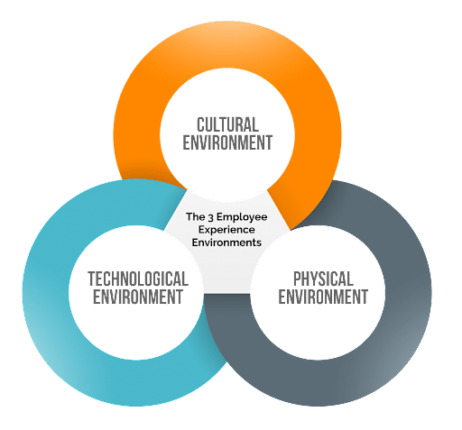 3-Employee-Experience-Environments-Chart