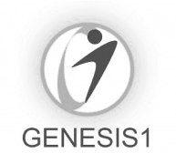 Genesis gray