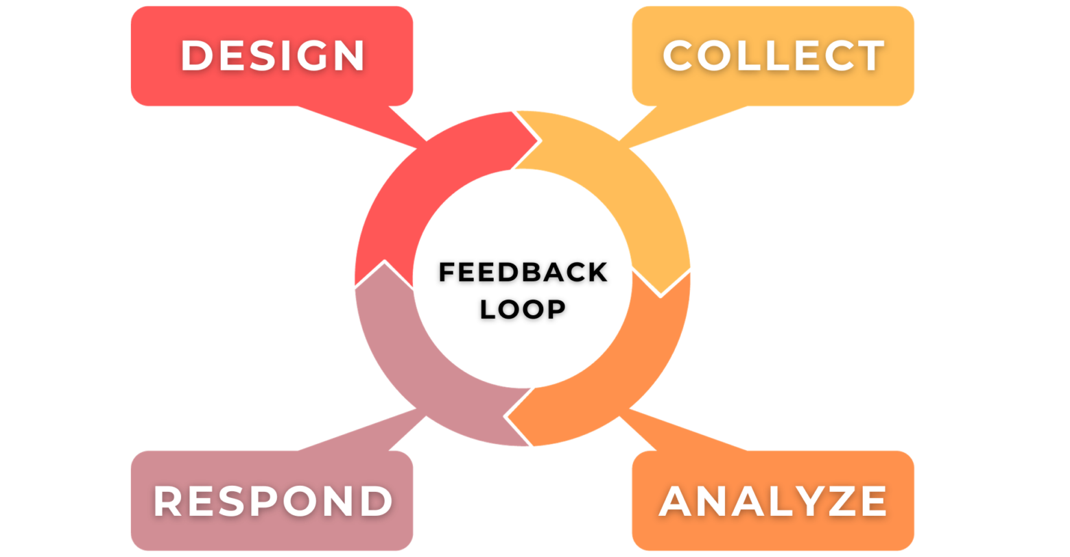 Feedback Loops in Training Program Evaluations - Samelane